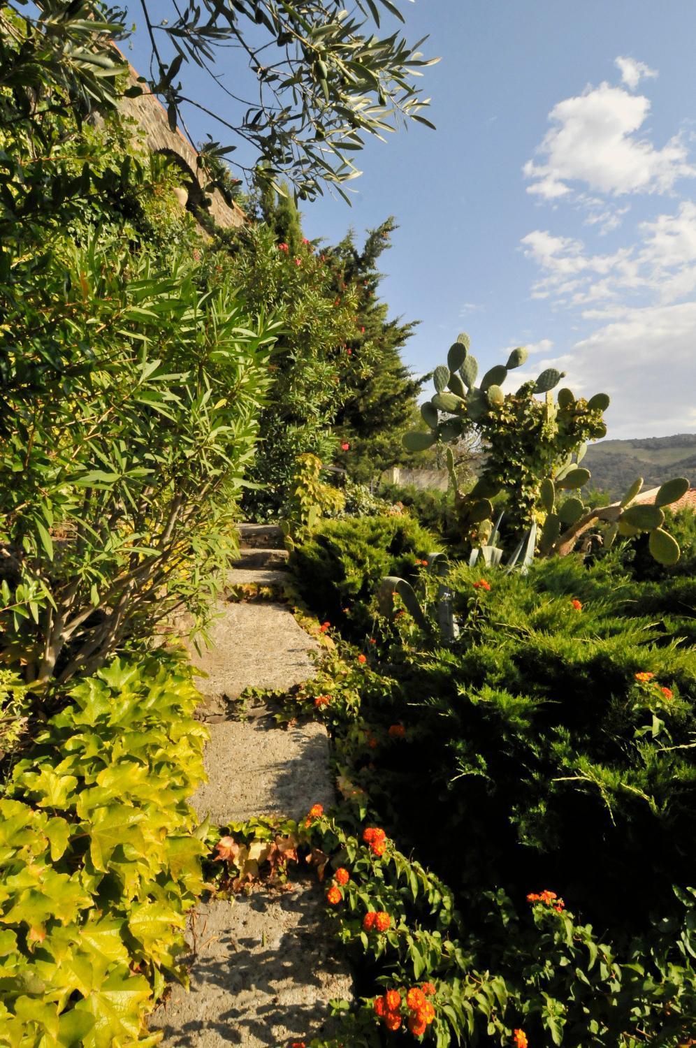 Hotel Mediterranee Collioure Dış mekan fotoğraf